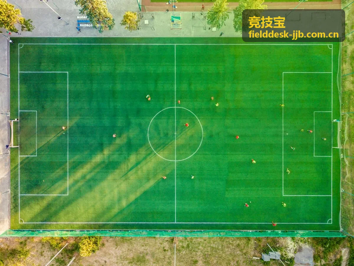 竞技宝使用指南中的主题阅读画面